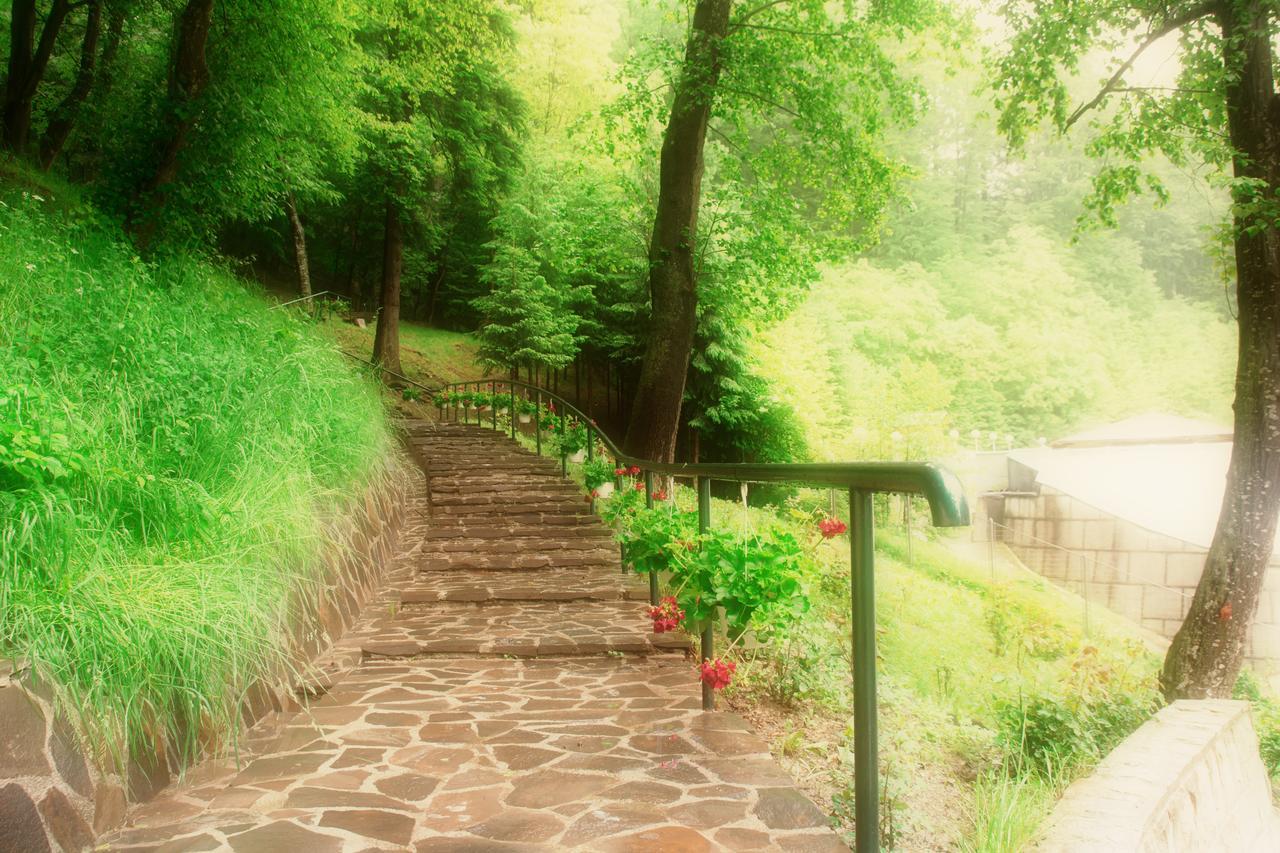 Hotel Nemira Slănic-Moldova Buitenkant foto