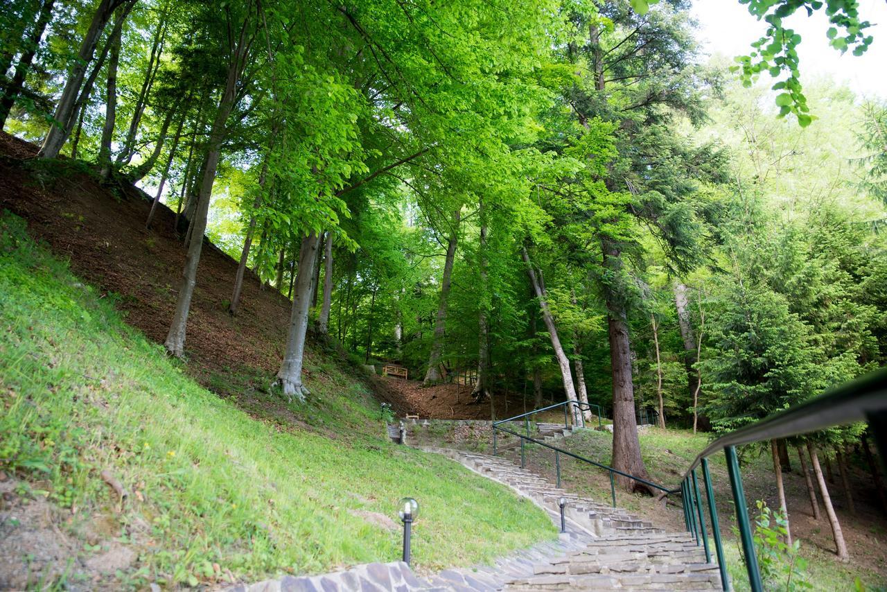 Hotel Nemira Slănic-Moldova Buitenkant foto